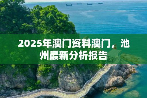 2025年澳门资料澳门，池州最新分析报告