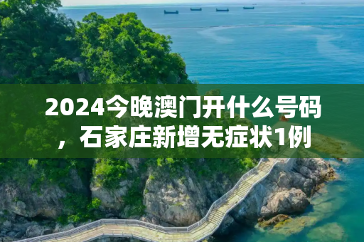 2024今晚澳门开什么号码，石家庄新增无症状1例