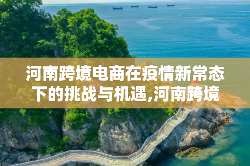 河南跨境电商在疫情新常态下的挑战与机遇,河南跨境电商最新疫情