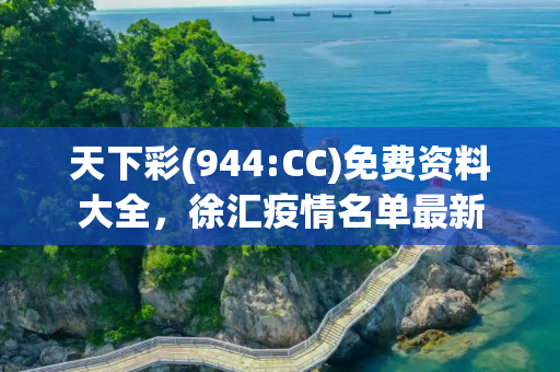 天下彩(944:CC)免费资料大全，徐汇疫情名单最新