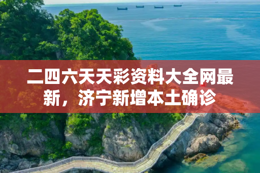 二四六天天彩资料大全网最新，济宁新增本土确诊