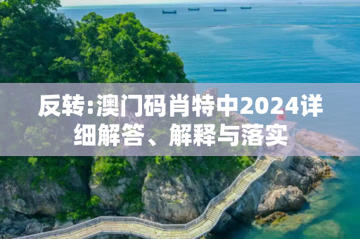 反转:澳门码肖特中2024详细解答、解释与落实
