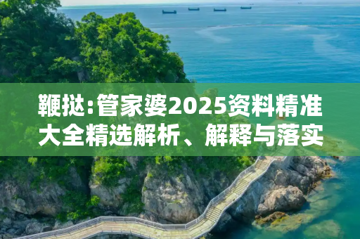 鞭挞:管家婆2025资料精准大全精选解析、解释与落实