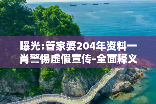曝光:管家婆204年资料一肖警惕虚假宣传-全面释义