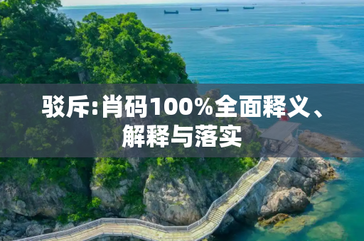驳斥:肖码100%全面释义、解释与落实