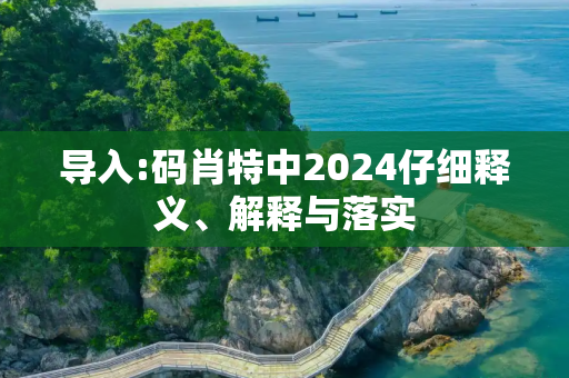 导入:码肖特中2024仔细释义、解释与落实