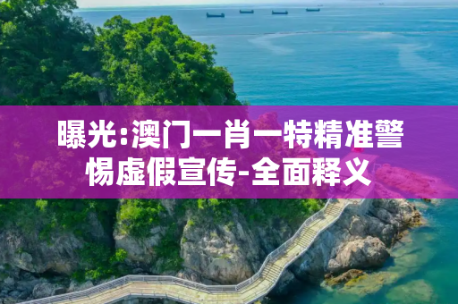 曝光:澳门一肖一特精准警惕虚假宣传-全面释义