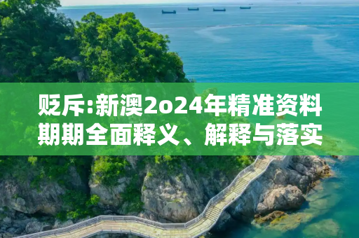 贬斥:新澳2o24年精准资料期期全面释义、解释与落实