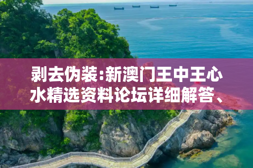 剥去伪装:新澳门王中王心水精选资料论坛详细解答、解释与落实