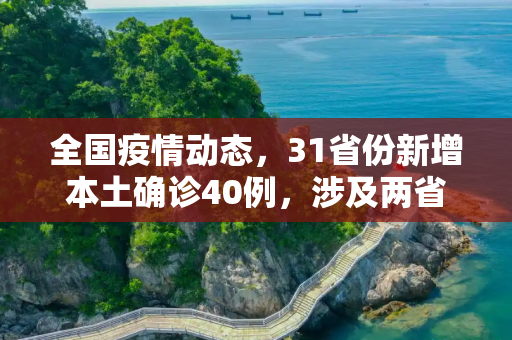 全国疫情动态，31省份新增本土确诊40例，涉及两省份疫情形势分析,31省份新增本土确诊40例 涉2省份