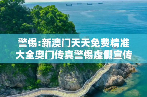 警惕:新澳门天天免费精准大全奥门传真警惕虚假宣传、全面解答与解释