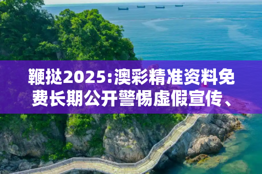 鞭挞2025:澳彩精准资料免费长期公开警惕虚假宣传、全面解答与解释