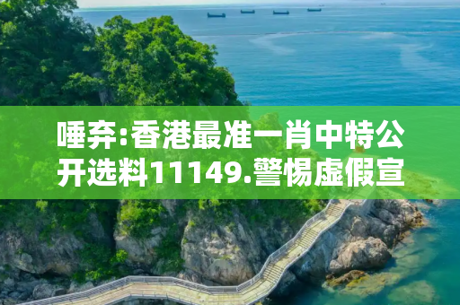 唾弃:香港最准一肖中特公开选料11149.警惕虚假宣传、全面解答与解释