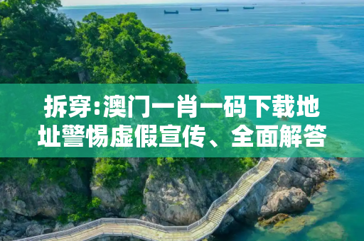 拆穿:澳门一肖一码下载地址警惕虚假宣传、全面解答与解释