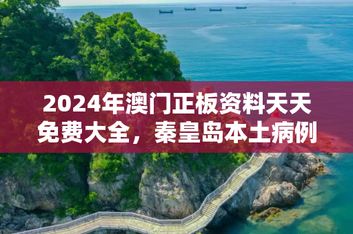 2024年澳门正板资料天天免费大全，秦皇岛本土病例