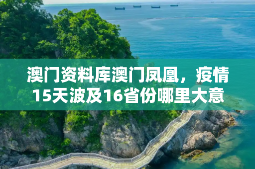 澳门资料库澳门凤凰，疫情15天波及16省份哪里大意了?