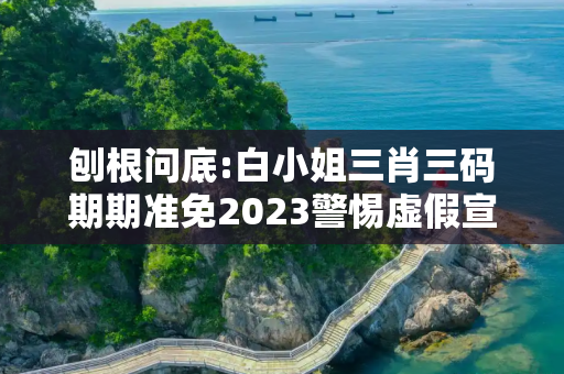 刨根问底:白小姐三肖三码期期准免2023警惕虚假宣传、全面解答