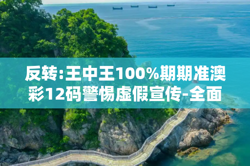 反转:王中王100%期期准澳彩12码警惕虚假宣传-全面释义