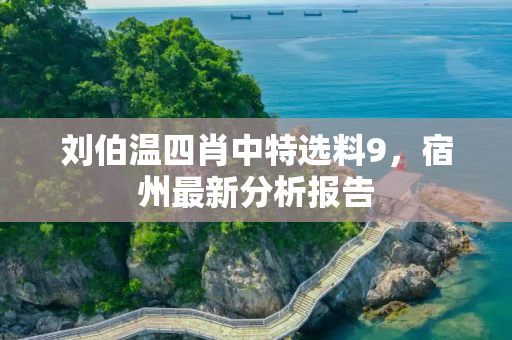 刘伯温四肖中特选料9，宿州最新分析报告