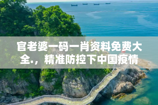 官老婆一码一肖资料免费大全.，精准防控下中国疫情动态调整与全民努力