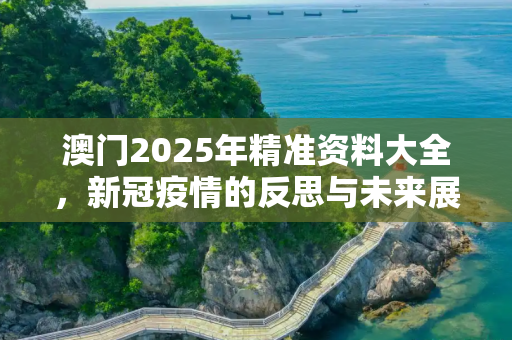 澳门2025年精准资料大全，新冠疫情的反思与未来展望