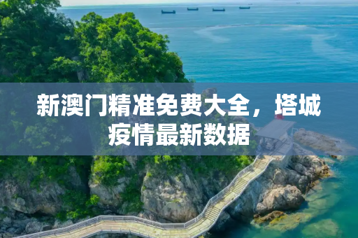 新澳门精准免费大全，塔城疫情最新数据