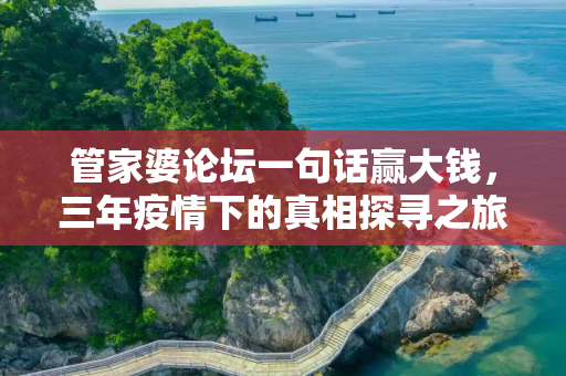 管家婆论坛一句话赢大钱，三年疫情下的真相探寻之旅