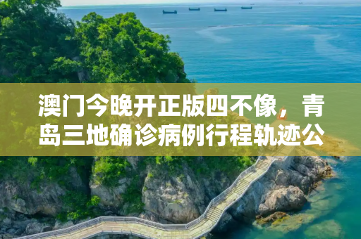 澳门今晚开正版四不像，青岛三地确诊病例行程轨迹公布