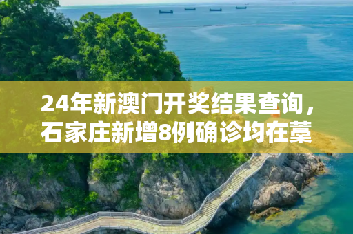 24年新澳门开奖结果查询，石家庄新增8例确诊均在藁城区