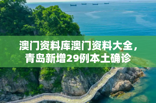 澳门资料库澳门资料大全，青岛新增29例本土确诊
