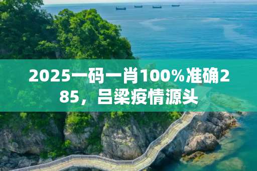 2025一码一肖100%准确285，吕梁疫情源头