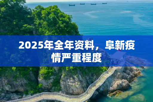 2025年全年资料，阜新疫情严重程度