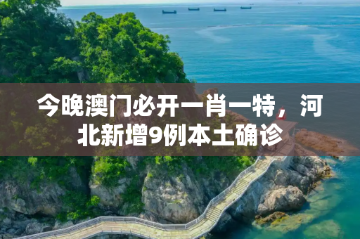 今晚澳门必开一肖一特，河北新增9例本土确诊