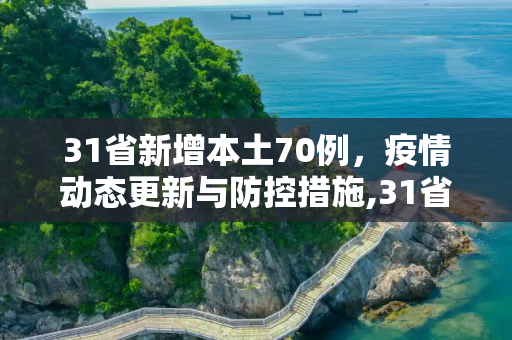 31省新增本土70例，疫情动态更新与防控措施,31省新增本土70例