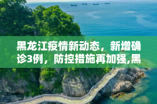 黑龙江疫情新动态，新增确诊3例，防控措施再加强,黑龙江新增确诊3例