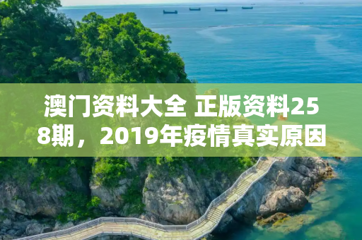 澳门资料大全 正版资料258期，2019年疫情真实原因探析