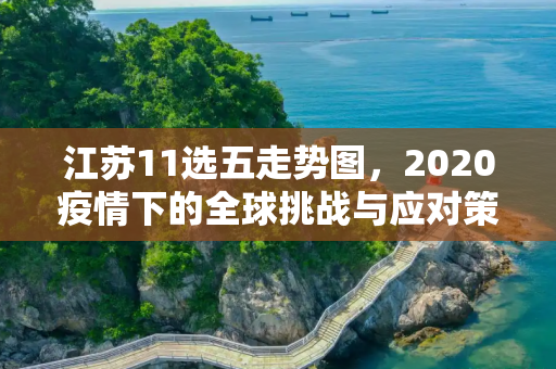 江苏11选五走势图，2020疫情下的全球挑战与应对策略