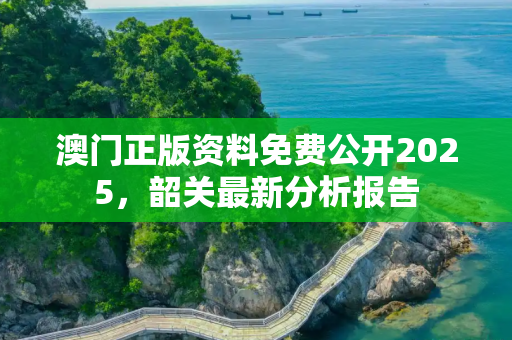 澳门正版资料免费公开2025，韶关最新分析报告