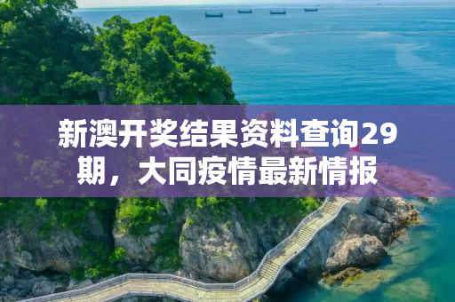 新澳开奖结果资料查询29期，大同疫情最新情报