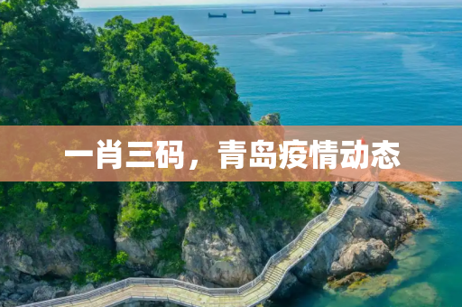 一肖三码，青岛疫情动态