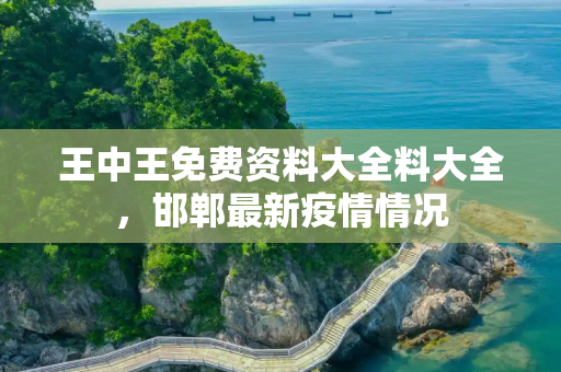 王中王免费资料大全料大全，邯郸最新疫情情况