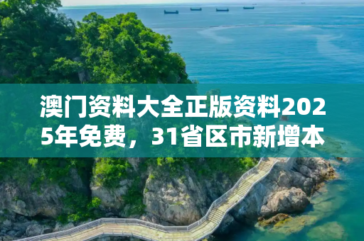 澳门资料大全正版资料2025年免费，31省区市新增本土确诊54例