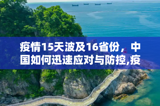 疫情15天波及16省份，中国如何迅速应对与防控,疫情15天波及16省份
