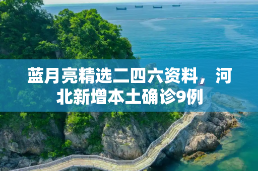 蓝月亮精选二四六资料，河北新增本土确诊9例