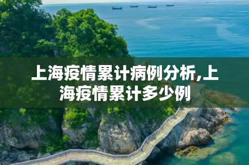 上海疫情累计病例分析,上海疫情累计多少例