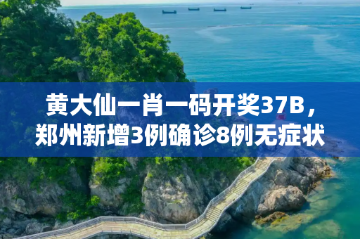 黄大仙一肖一码开奖37B，郑州新增3例确诊8例无症状