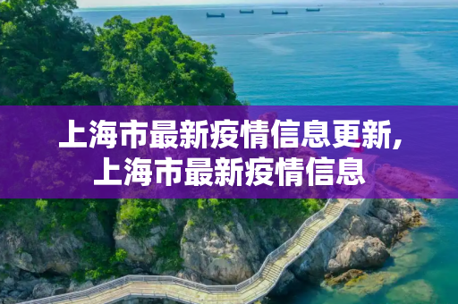 上海市最新疫情信息更新,上海市最新疫情信息