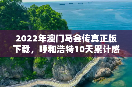 2022年澳门马会传真正版下载，呼和浩特10天累计感染者超2000例