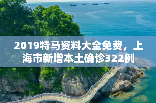 2019特马资料大全免费，上海市新增本土确诊322例