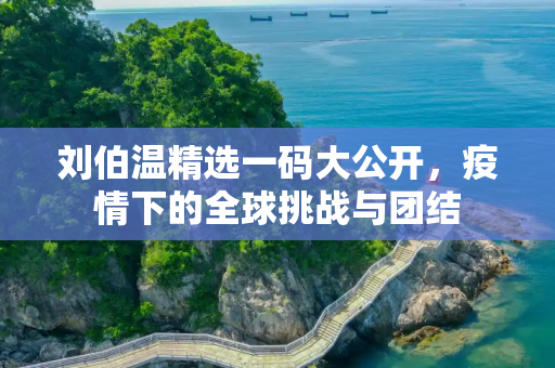 刘伯温精选一码大公开，疫情下的全球挑战与团结